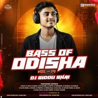 BASS OF ODISHA (VOL - 14) DJ BIDDU BHAI Album Songs
