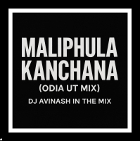 Maliphula Kanchana l Odia Ut Mix l Dj Avinash In The Mix