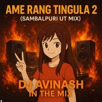 Ame Rang Tingalu 2.0 l Sambalpuri Dance Mix l Dj Avinash In The Mix