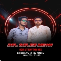 Dil Bilei Meow Meow ( Odia Ut Rhythm Mix ) Dj Pinku X Dj Chintu