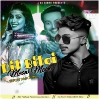 DIL BILEI MEOW MEOW (TAPORI DANCE MIX) DJ BIBHU
