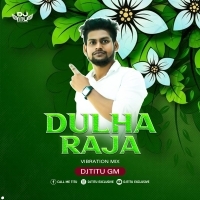 DULHA RAJA ( VIBRATION MIX ) DJTITU GM