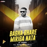 BAGHA GHARE MIRIGA NATA (UT DANCE )DJ ROBIN ANGUL