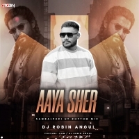 Aaya Sher ( Sambalpuri Ut Rhythm ) Dj Robin Angul